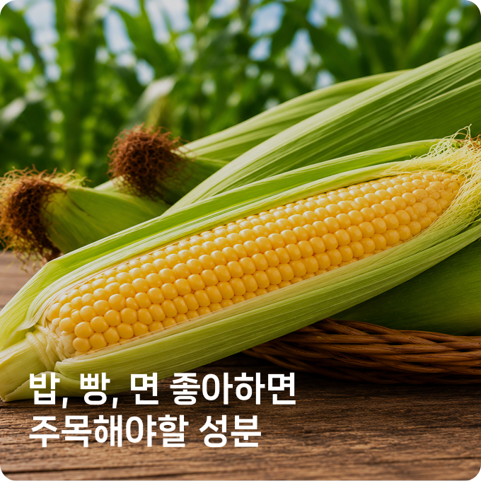 배너 4