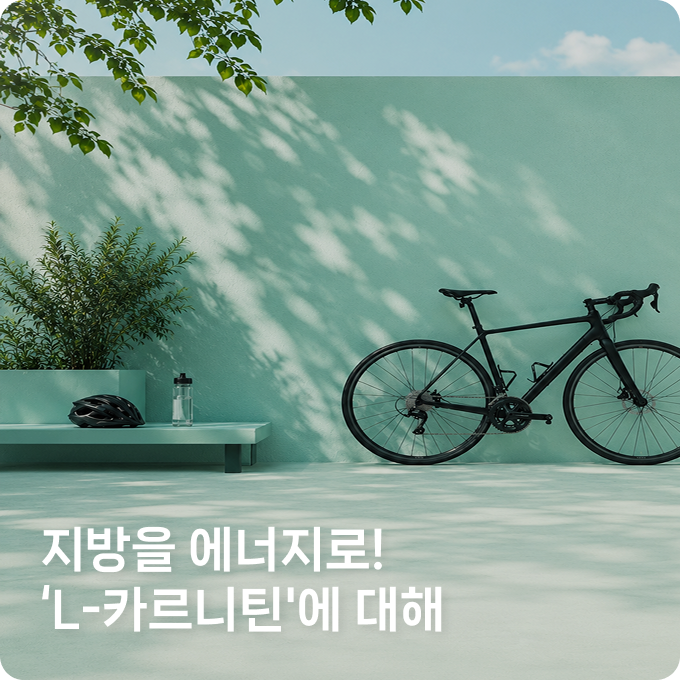 배너 3