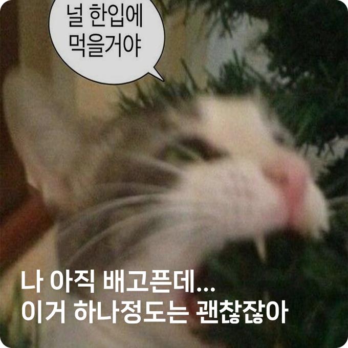 배너 5