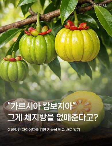 배너 3 상세 12