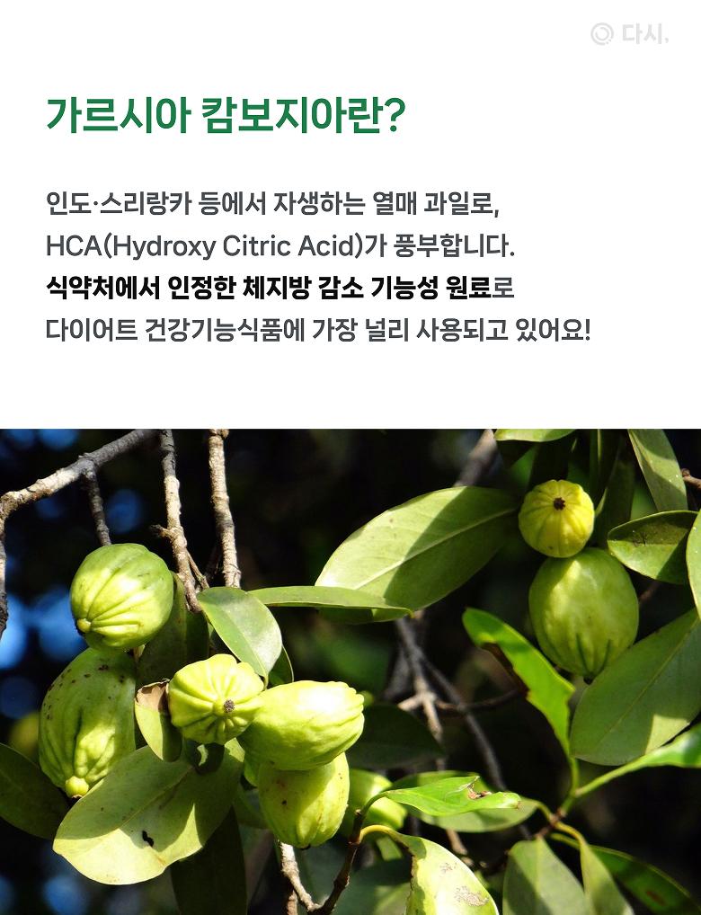 배너 3 상세 13