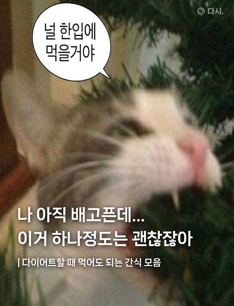 배너 5 상세 20