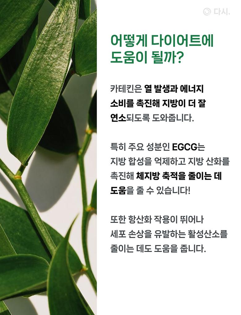 배너 4 상세 18