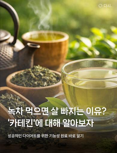 배너 4 상세 16