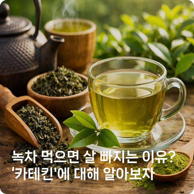 배너 4