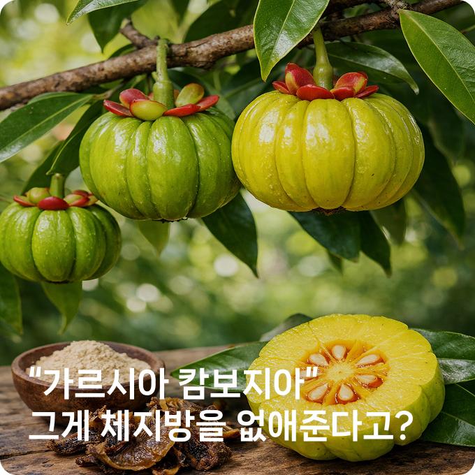 배너 3